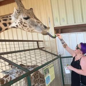 Meet your Posher, Marcella